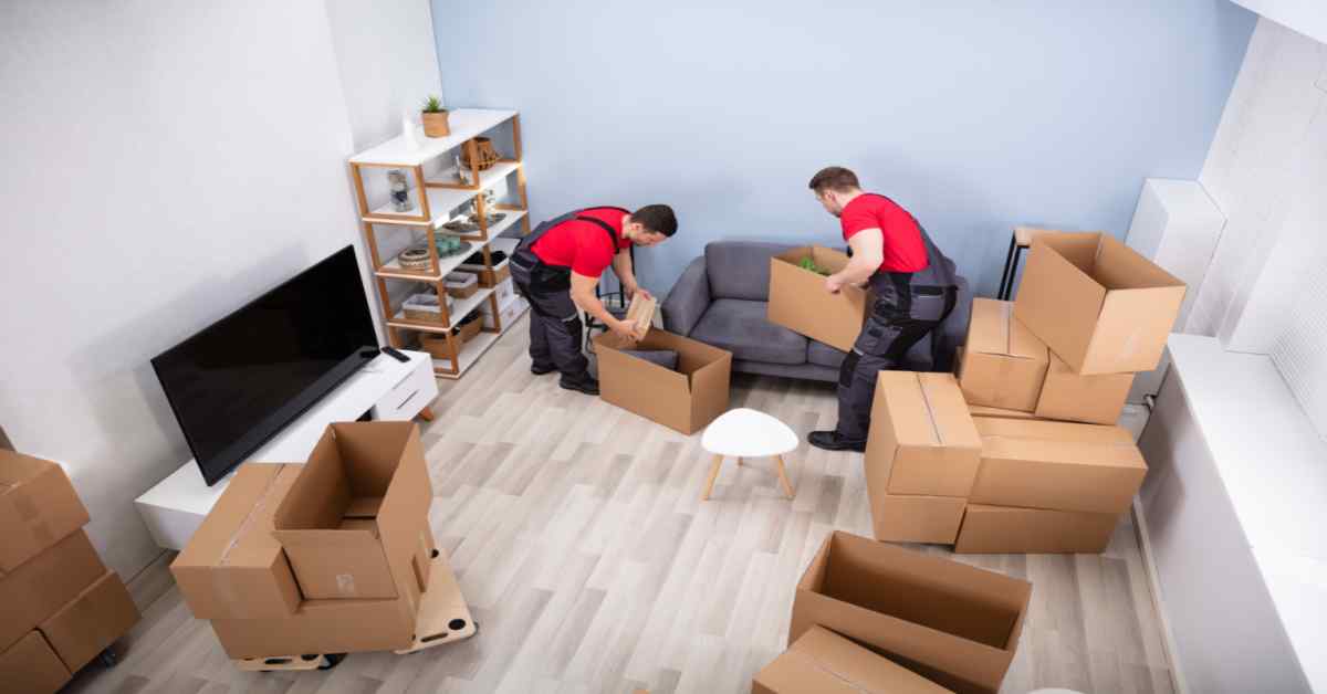 Services packers and movers